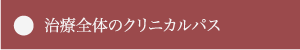 治療全体のクリニカルパス