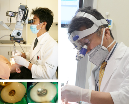 世界標準の正しい歯科治療